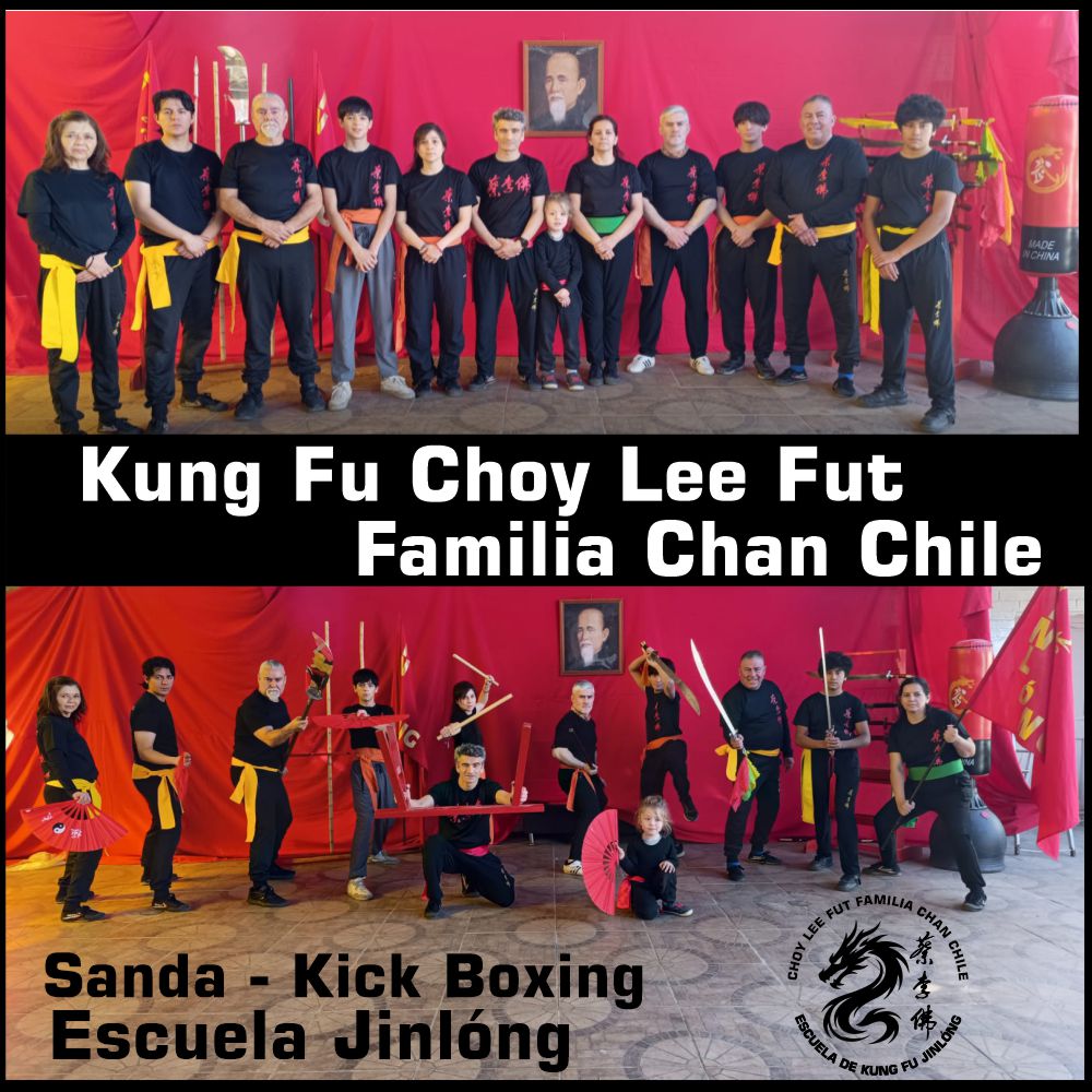 kung fu choy lee fut familia chan 